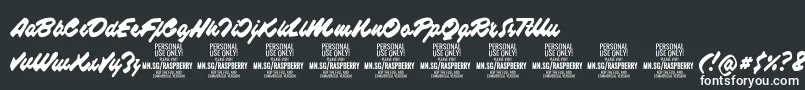 RaspberryscriptPersonalUse Font – White Fonts
