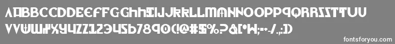 フォントLionv2b – 灰色の背景に白い文字