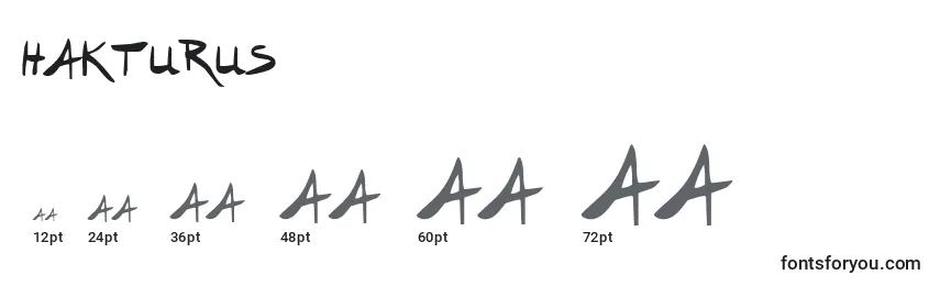 Размеры шрифта Hakturus
