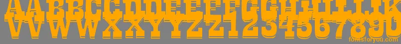 LaTequilaOut-Schriftart – Orangefarbene Schriften auf grauem Hintergrund