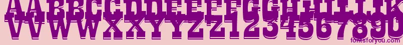 LaTequilaOut-Schriftart – Violette Schriften auf rosa Hintergrund