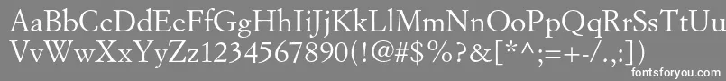 Simoncinigaramondstd Font – White Fonts on Gray Background