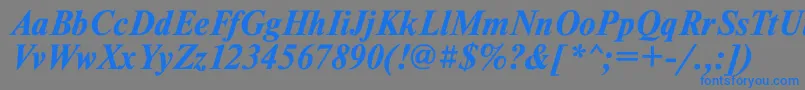 Tmsdlbi Font – Blue Fonts on Gray Background