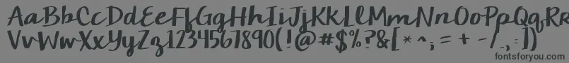 Kgcamdenmarketscript Font – Black Fonts on Gray Background