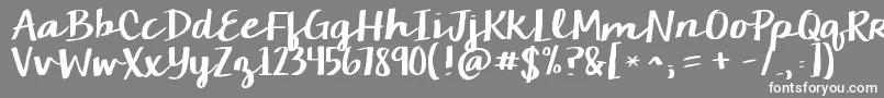 Kgcamdenmarketscript Font – White Fonts on Gray Background