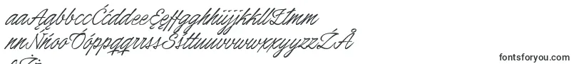 HoneymoonPersonal Font – Polish Fonts