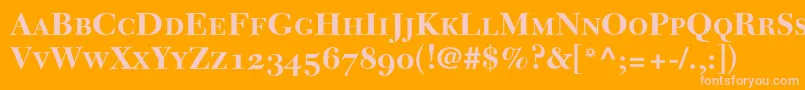 NewCaledoniaBoldSmallCapsOldStyleFigures Font – Pink Fonts on Orange Background