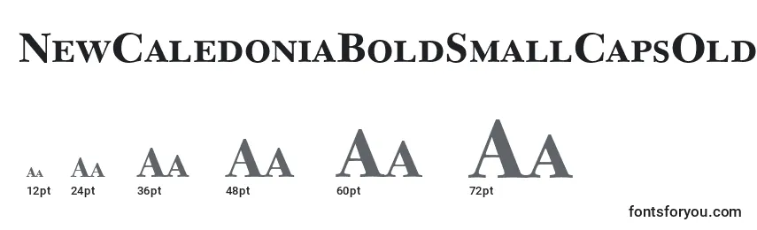 NewCaledoniaBoldSmallCapsOldStyleFigures Font Sizes