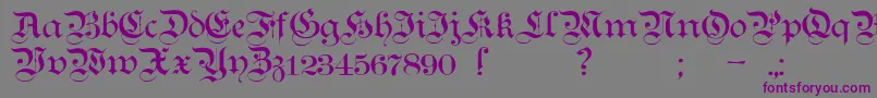 TeutonicNo1Demibold-fontti – violetit fontit harmaalla taustalla