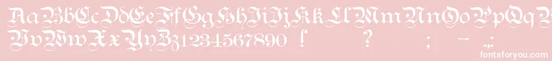 TeutonicNo1Demibold Font – White Fonts on Pink Background