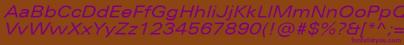 UniversNextProExtendedItalic Font – Purple Fonts on Brown Background