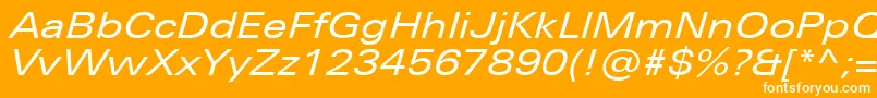 UniversNextProExtendedItalic Font – White Fonts on Orange Background