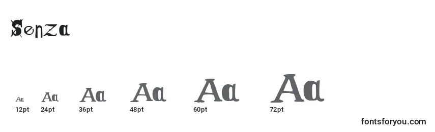 Размеры шрифта Senza