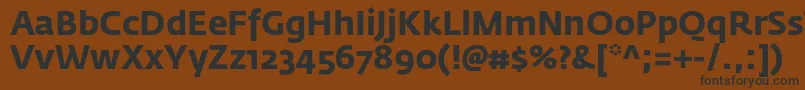 Шрифт FedrasansproBold – чёрные шрифты на коричневом фоне
