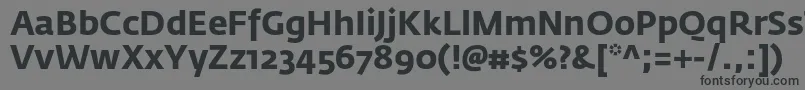 フォントFedrasansproBold – 黒い文字の灰色の背景