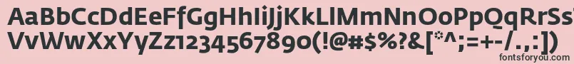フォントFedrasansproBold – ピンクの背景に黒い文字