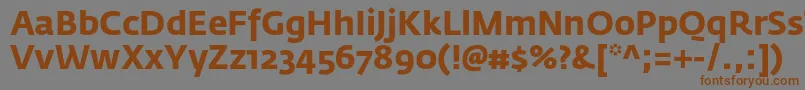 フォントFedrasansproBold – 茶色の文字が灰色の背景にあります。