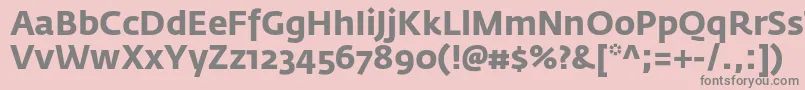 フォントFedrasansproBold – ピンクの背景に灰色の文字