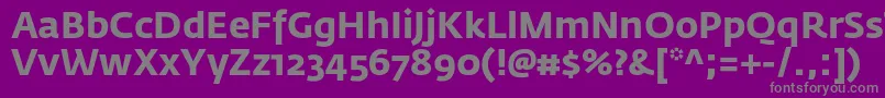 フォントFedrasansproBold – 紫の背景に灰色の文字