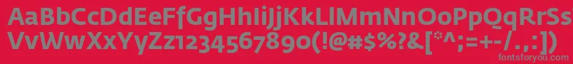 フォントFedrasansproBold – 赤い背景に灰色の文字