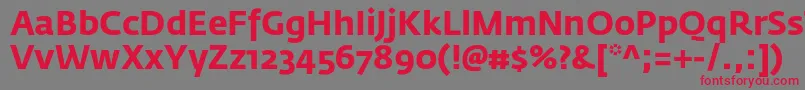 フォントFedrasansproBold – 赤い文字の灰色の背景