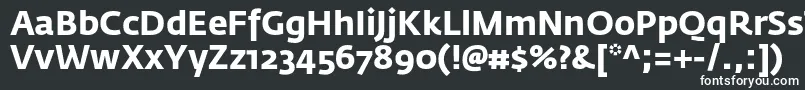 フォントFedrasansproBold – 黒い背景に白い文字