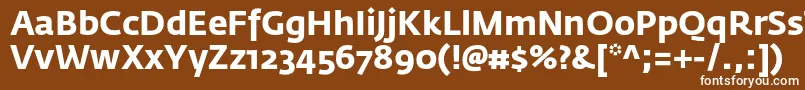 フォントFedrasansproBold – 茶色の背景に白い文字