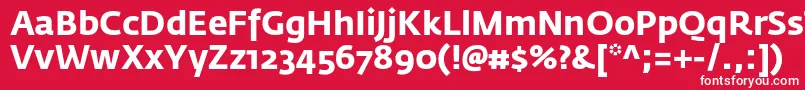 フォントFedrasansproBold – 赤い背景に白い文字