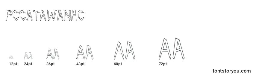 Pccatawanhc Font Sizes