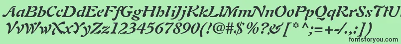 AuriolltstdBolditalic Font – Black Fonts on Green Background