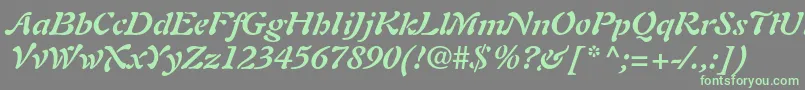 AuriolltstdBolditalic Font – Green Fonts on Gray Background
