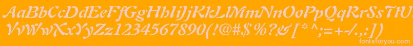 AuriolltstdBolditalic Font – Pink Fonts on Orange Background