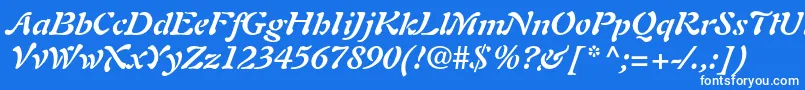 AuriolltstdBolditalic Font – White Fonts on Blue Background