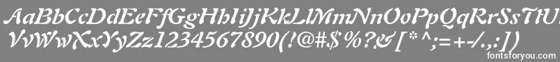 AuriolltstdBolditalic Font – White Fonts on Gray Background