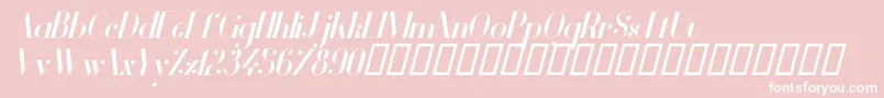VanityBoldItalic Font – White Fonts on Pink Background