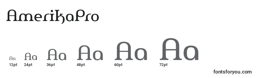 Размеры шрифта AmerikaPro (57797)