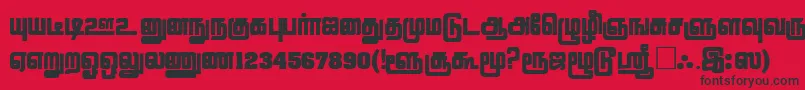 LathangiPlain Font – Black Fonts on Red Background