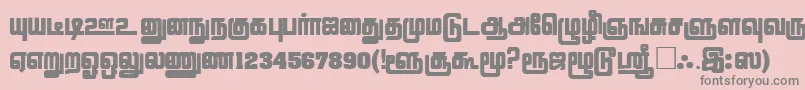 LathangiPlain Font – Gray Fonts on Pink Background
