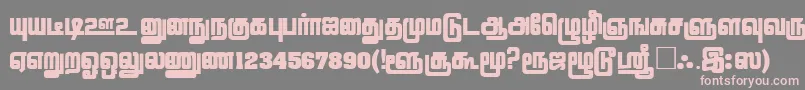 フォントLathangiPlain – 灰色の背景にピンクのフォント