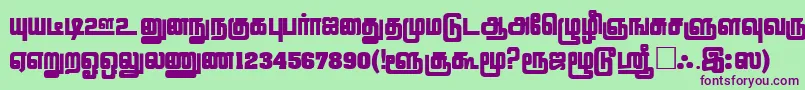 Шрифт LathangiPlain – фиолетовые шрифты на зелёном фоне