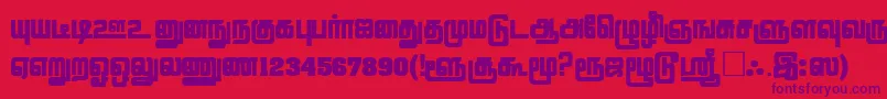 LathangiPlain Font – Purple Fonts on Red Background