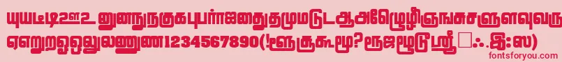 LathangiPlain Font – Red Fonts on Pink Background
