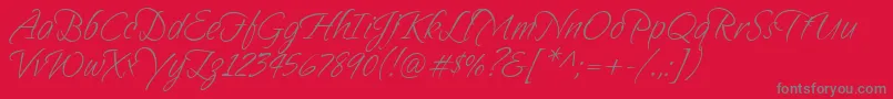 Sandytexthmk Font – Gray Fonts on Red Background