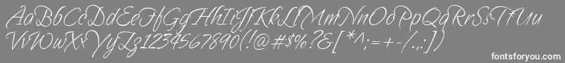 Sandytexthmk Font – White Fonts on Gray Background