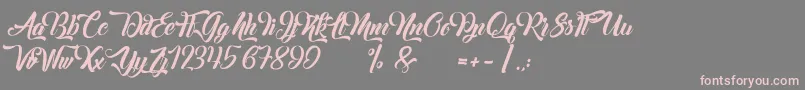 Margueritas Font – Pink Fonts on Gray Background