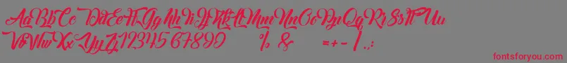 Margueritas Font – Red Fonts on Gray Background