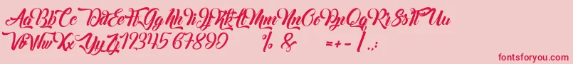 Margueritas Font – Red Fonts on Pink Background