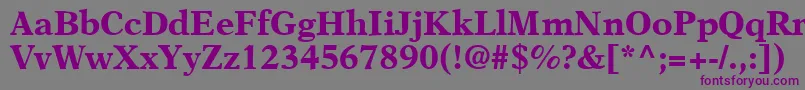 A831RomanBold Font – Purple Fonts on Gray Background