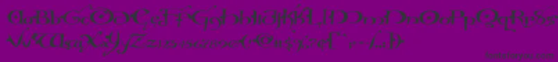 Hollyjinglesolidexpand Font – Black Fonts on Purple Background