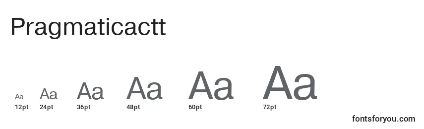 Размеры шрифта Pragmaticactt